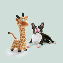 Load image into Gallery viewer, Nocciola Twistable Giraffe Plush Dog Toy for
