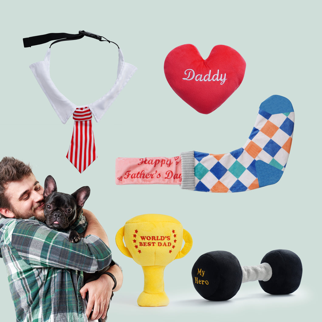 Nocciola 5 PCS Dog Squeaky Toys Birthday Gifts for Dad