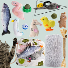 Load image into Gallery viewer, Nocciola 12-in-1 Catnip Playset: Catnip Balls, Salmon, Plush Pillow, Silvervine &amp; More - Ultimate Interactive Cat Toys
