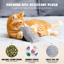 Load image into Gallery viewer, Nocciola 12-in-1 Catnip Playset: Catnip Balls, Salmon, Plush Pillow, Silvervine &amp; More - Ultimate Interactive Cat Toys
