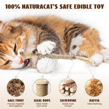 Load image into Gallery viewer, Nocciola 12-in-1 Catnip Playset: Catnip Balls, Salmon, Plush Pillow, Silvervine &amp; More - Ultimate Interactive Cat Toys
