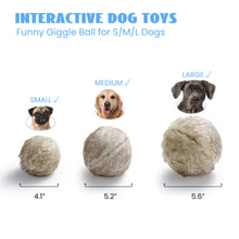 Load image into Gallery viewer, Nocciola Wobble Giggle Ball for Small Medium Large Dogs
