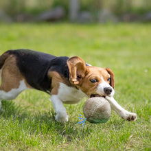 Load image into Gallery viewer, Nocciola Wobble Giggle Ball for Small Medium Large Dogs
